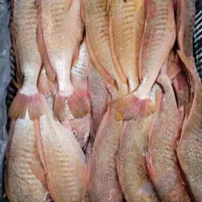 ตัวแปรที่ซ่อนอยู่ใดที่เปลี่ยนแปลงมูลค่าที่ดินของ Premium Frozen Yellow Croaker ทั้งรอบ?