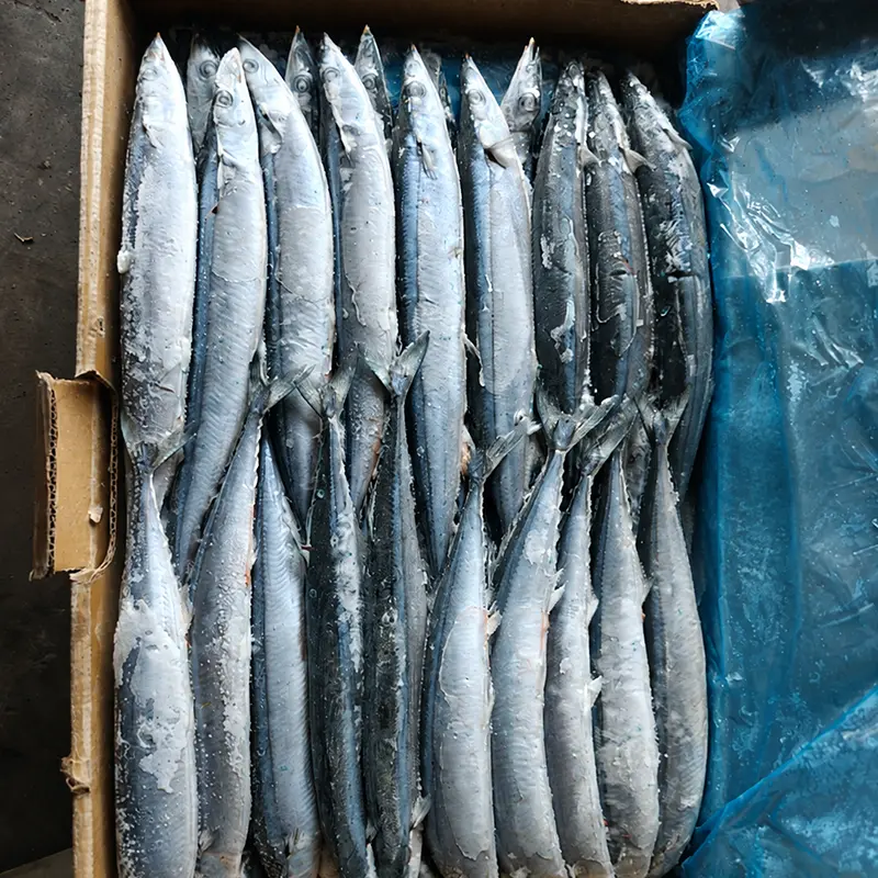 อะไรทำให้ Pacific Saury เป็นตัวเลือกที่เป็นประโยชน์สำหรับผู้ซื้ออาหารทะเล