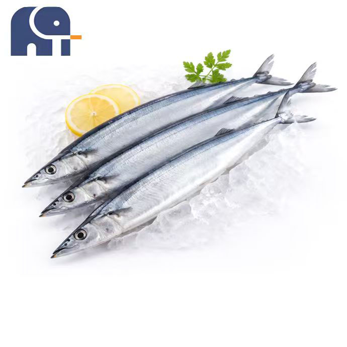 Winter Frozen Pacific Saury ทั้งรอบ